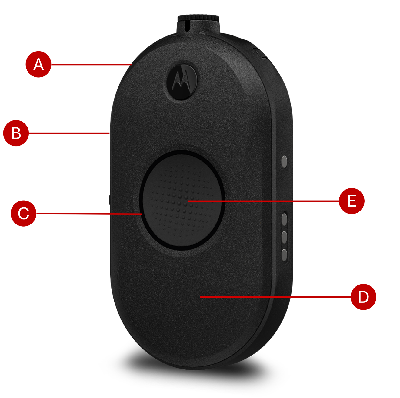 CLPe with Feature Numbers Small